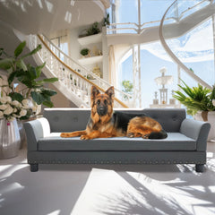 BINGOPAW Rectangle Pet Bed for Medium and Large Dogs, Durable Elevated Dog Sofa Bed, Comfortable Dog Couch, Modern Dog Sofa