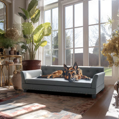 BINGOPAW Rectangle Pet Bed for Medium and Large Dogs, Durable Elevated Dog Sofa Bed, Comfortable Dog Couch, Modern Dog Sofa